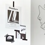 Zeroshare Chikko