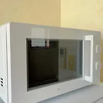 福嘉の九条