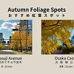 Forestay Shinsaibashi