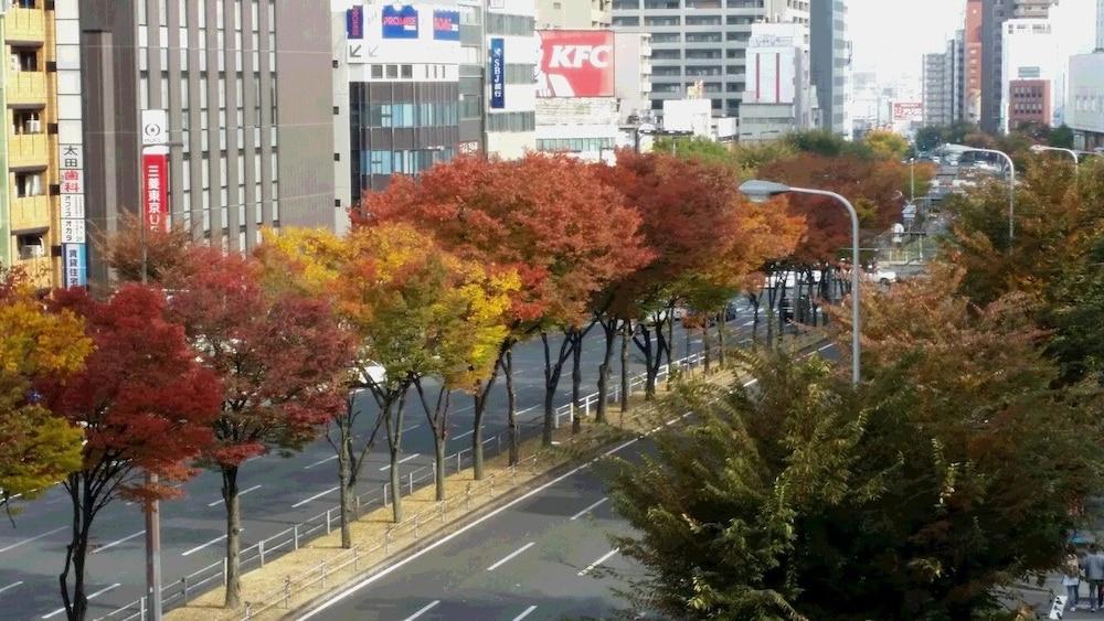 Sakura * Osaka