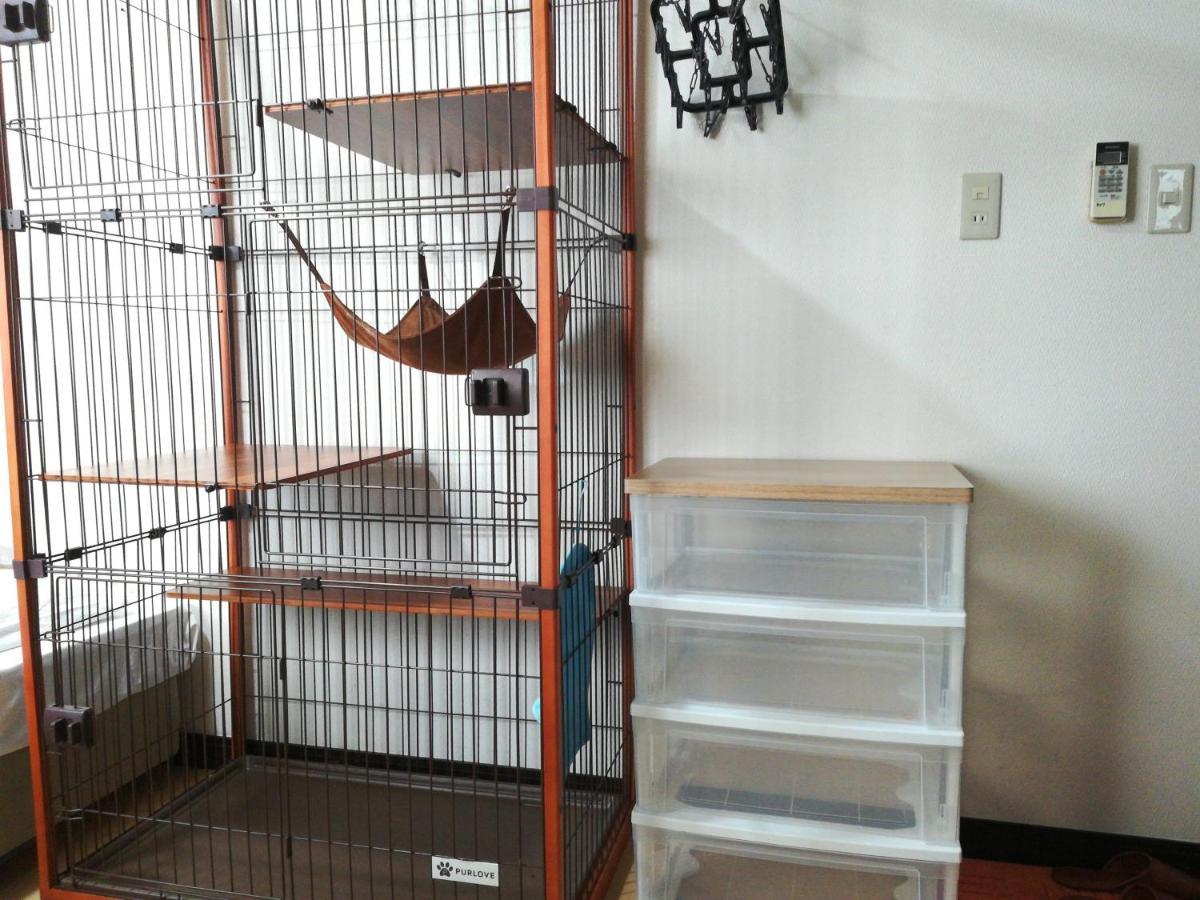 Cote House Guest house *