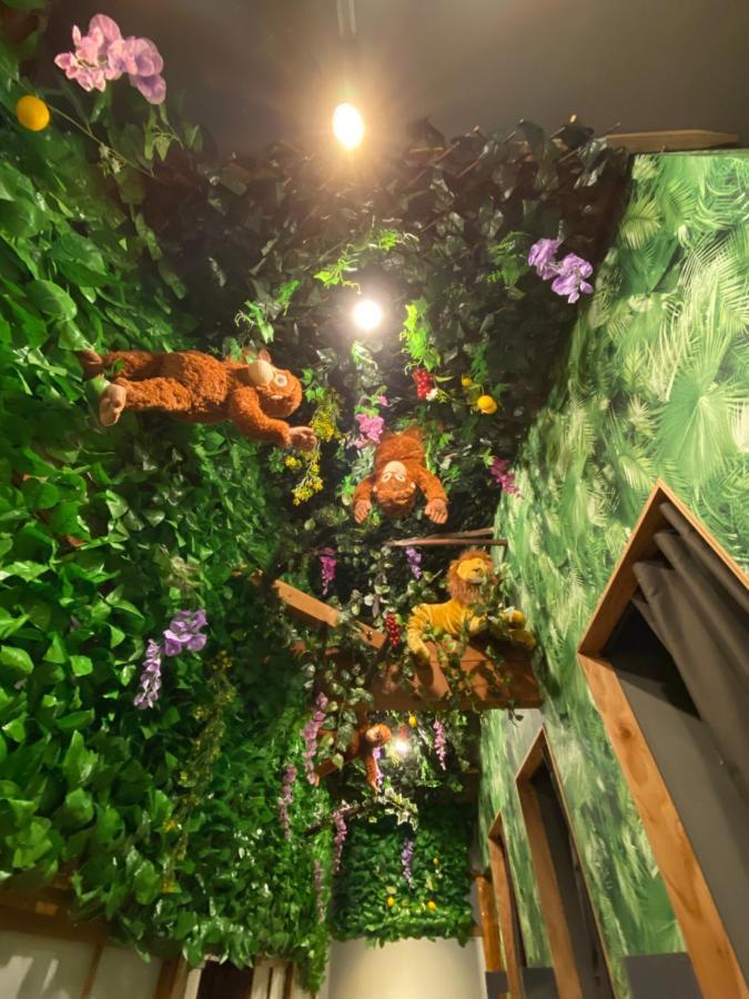 Apartment Jungle Fun Fun *