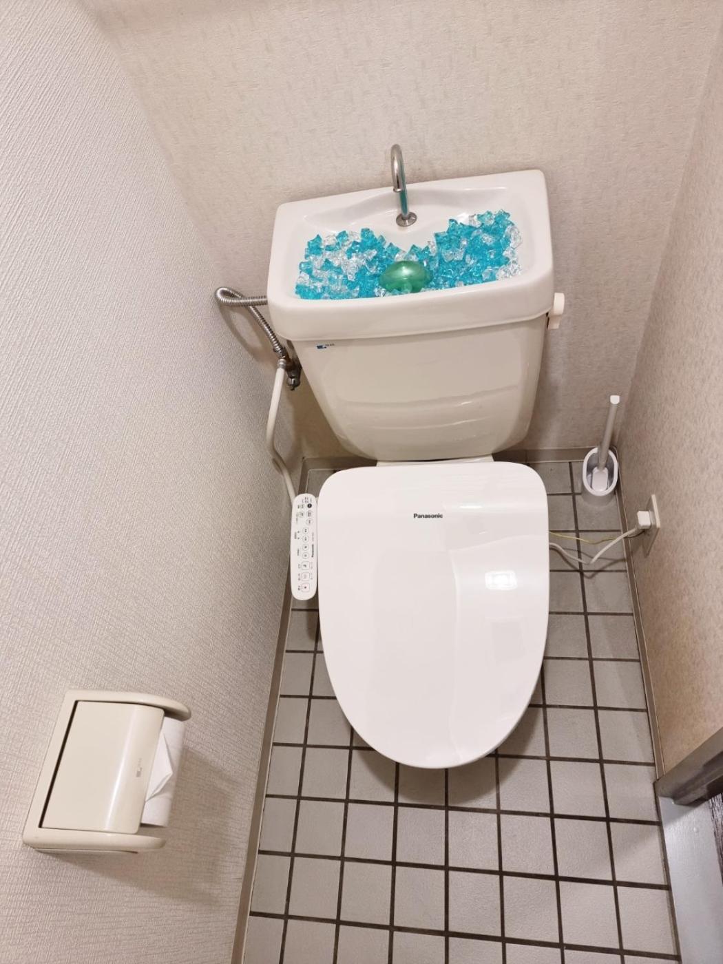 네코하우스 난바점 Osaka