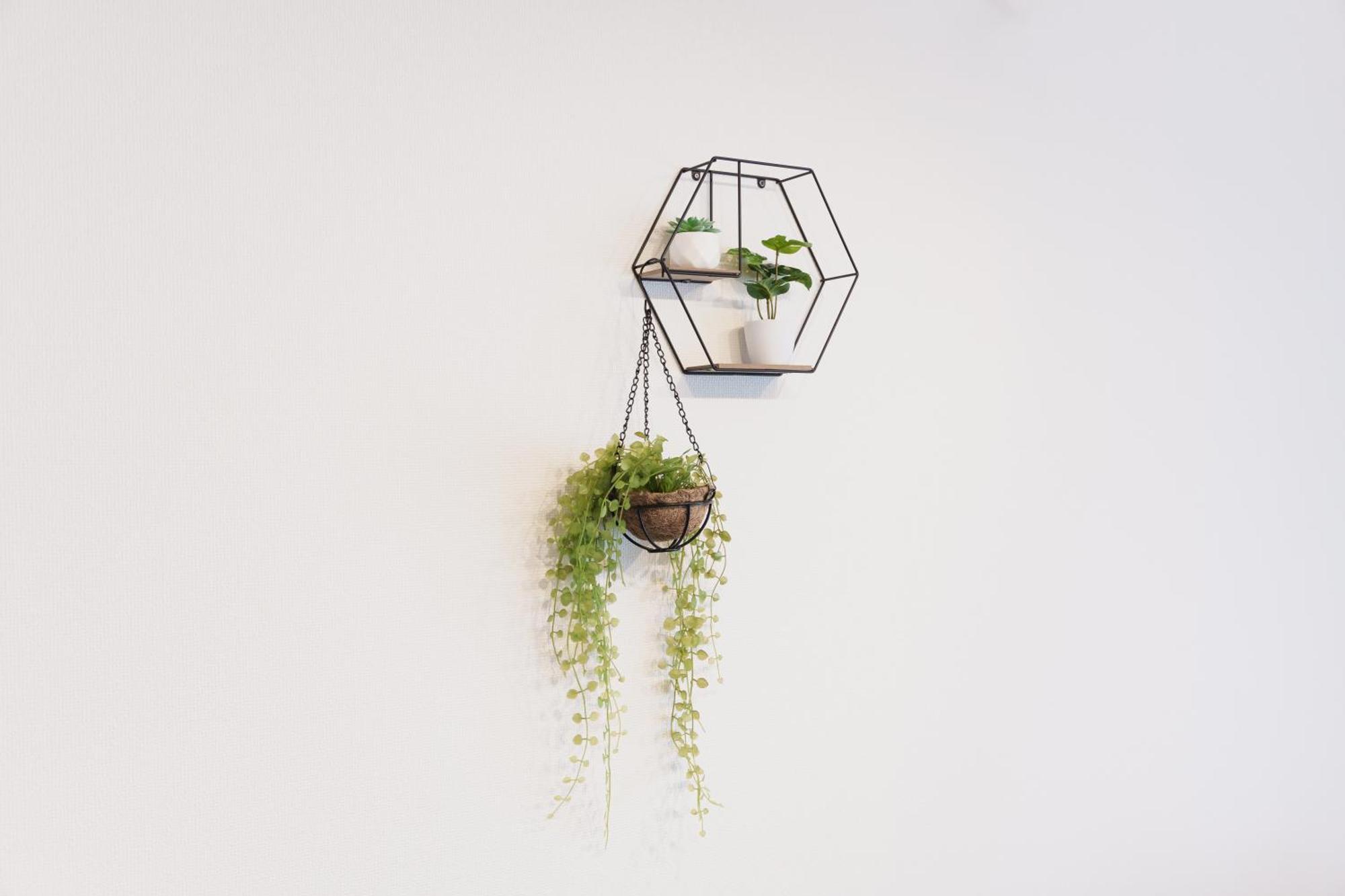 Apartamento House 暁 -akatsuki-
