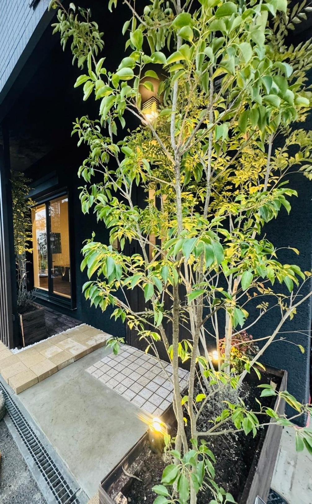 Tengachaya House Holiday home *