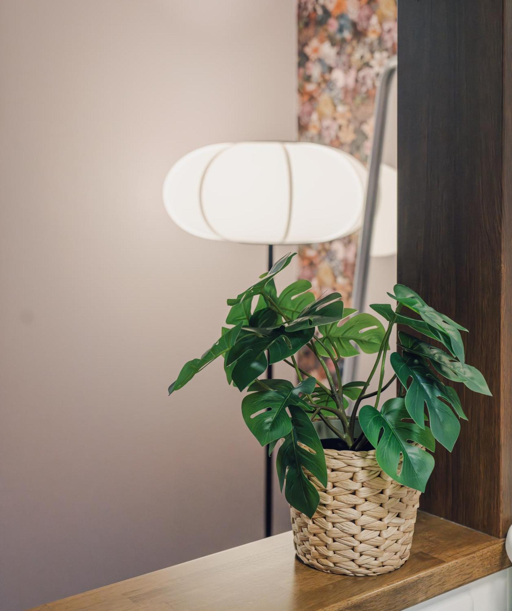 星池一軒家 Apartment