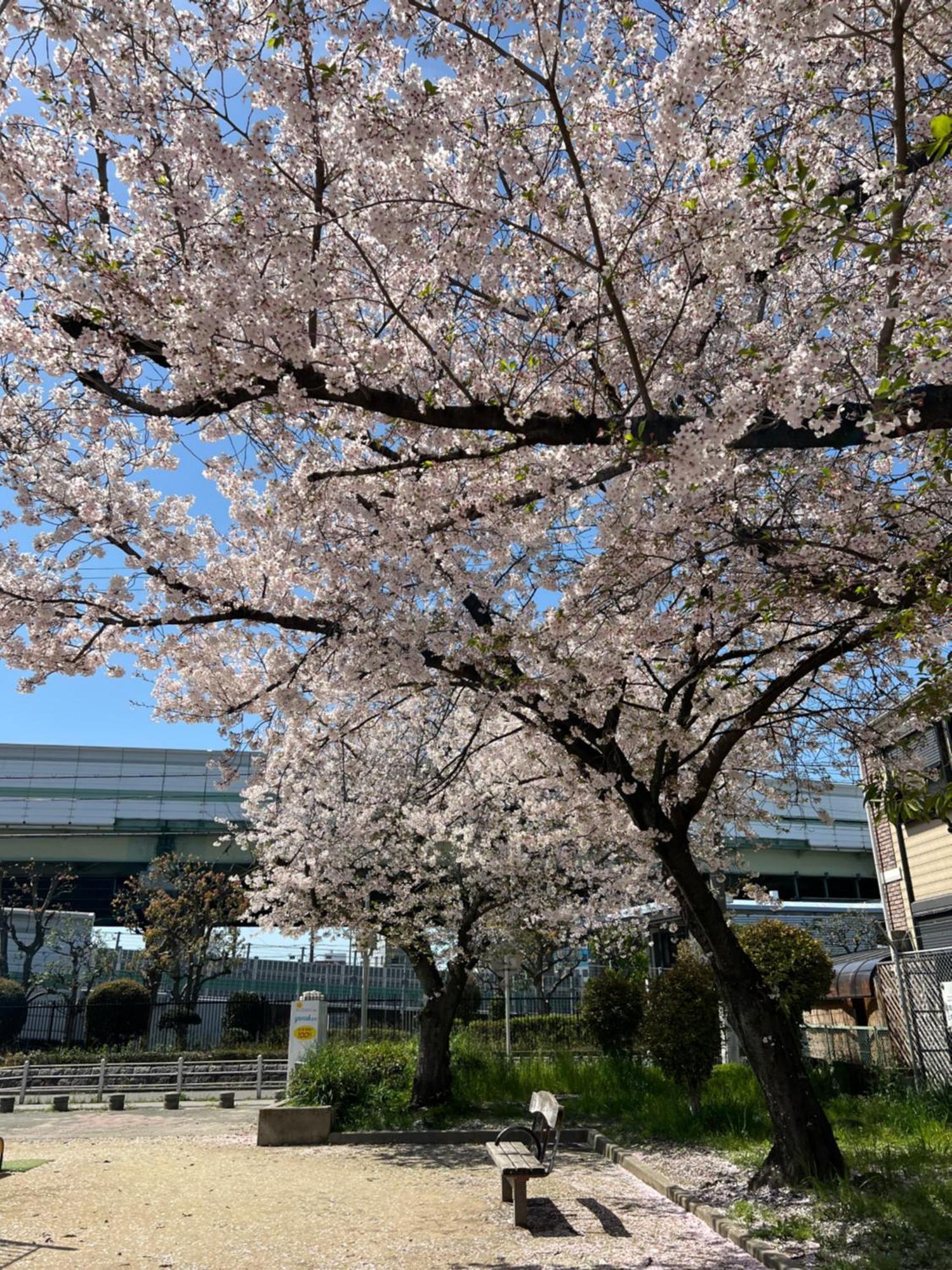 承和居 * Osaka
