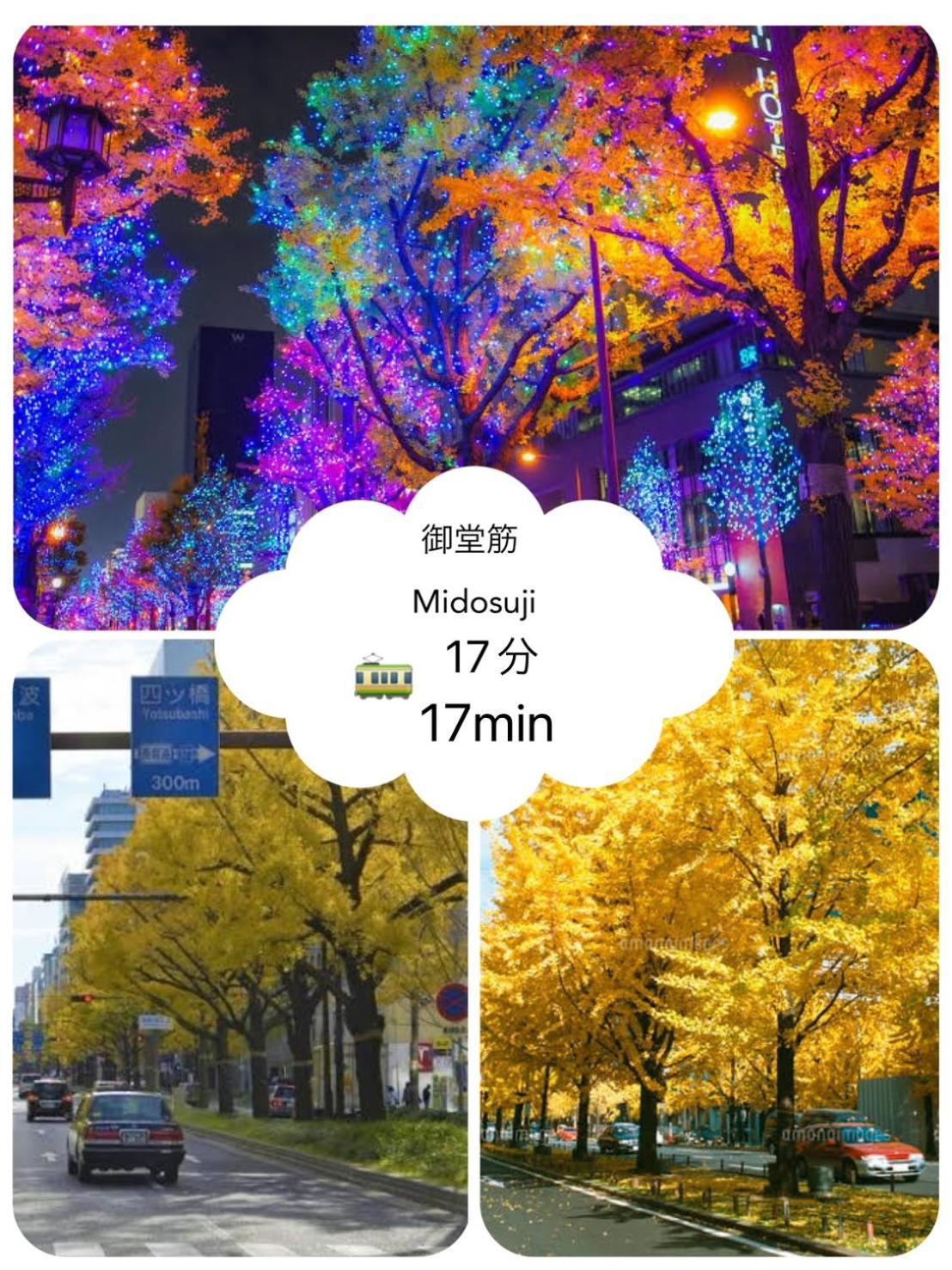 雅宿nf203 * Osaka