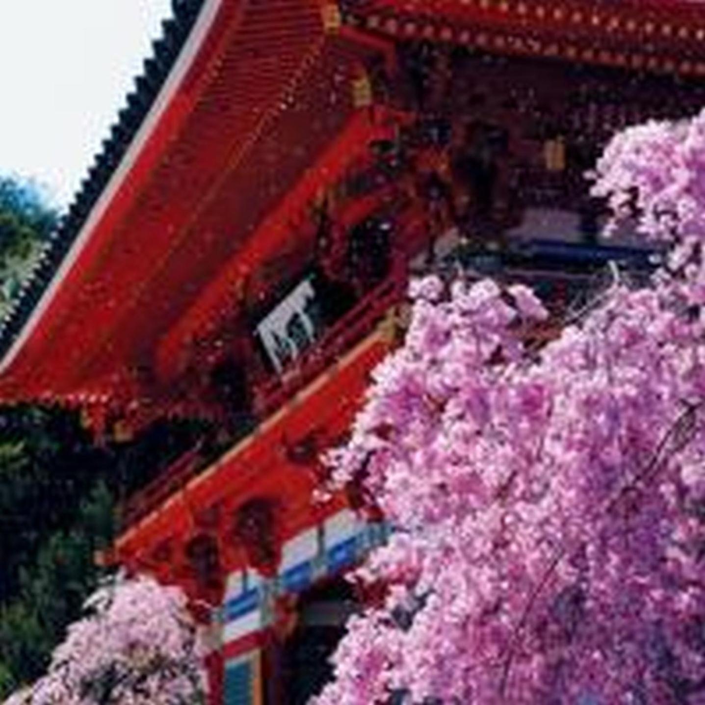 Apartment むつみ庵潮路601 Osaka