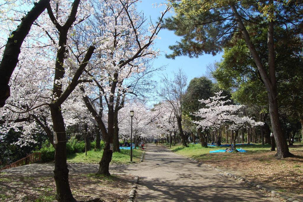 Furoya Osaka