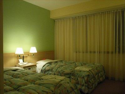 Namba Washington Plaza 3* Osaka