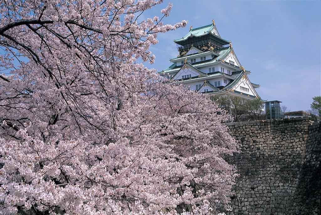 Sakura Garden 3*