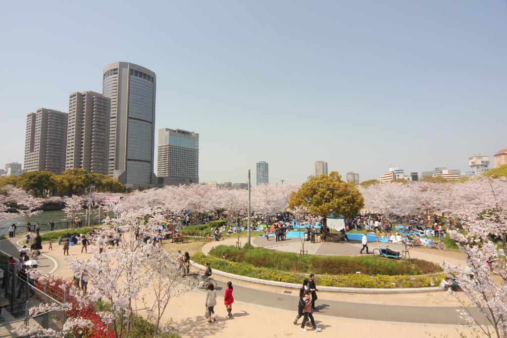 Sakura Garden