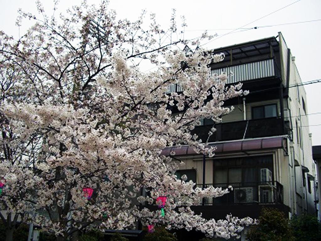 W.k Apartment