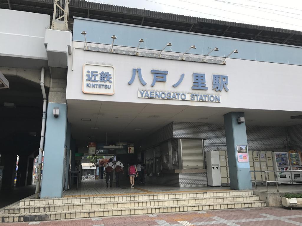 Dolphin House Hostel *