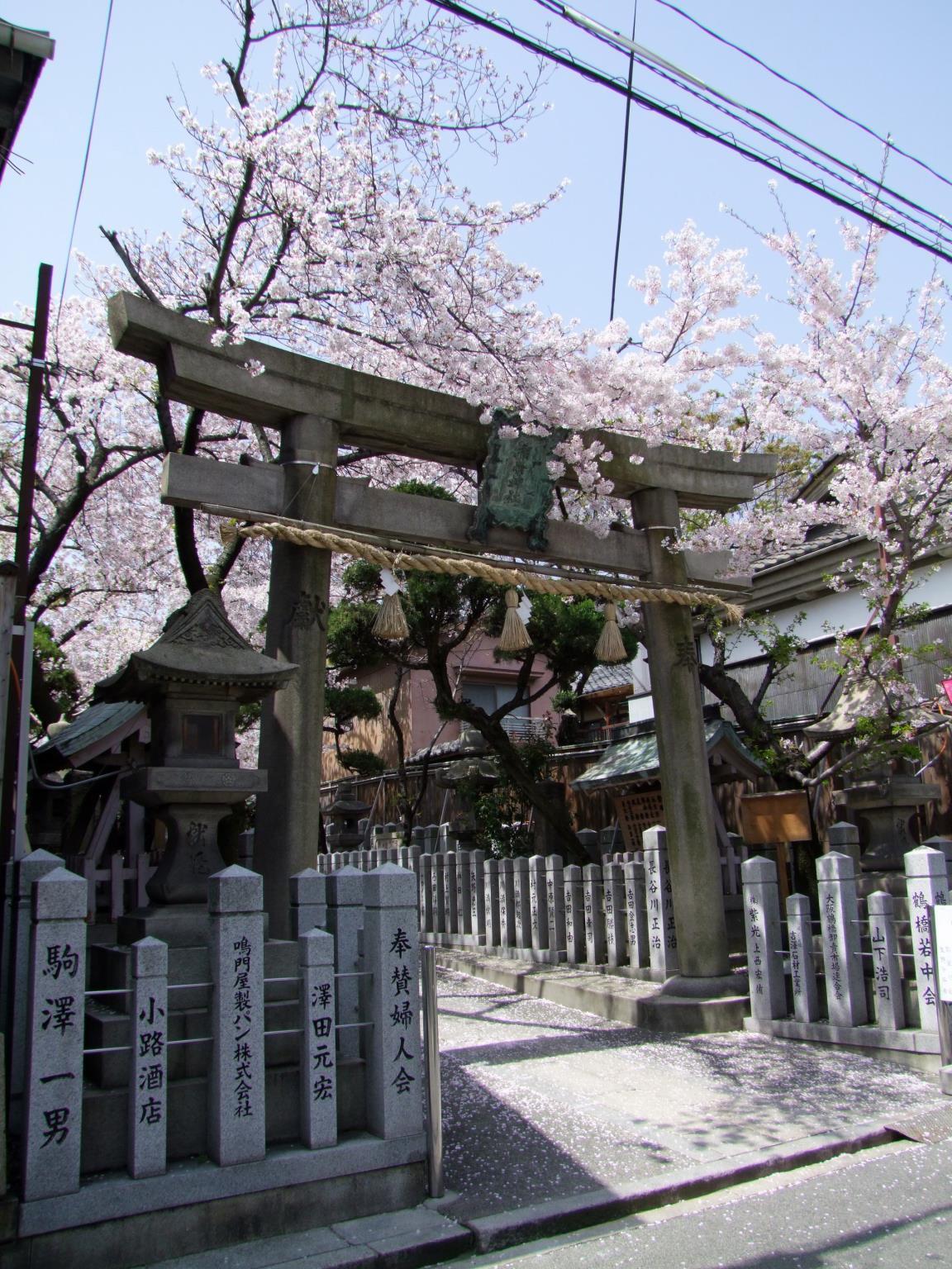 Guest house Bonsai *