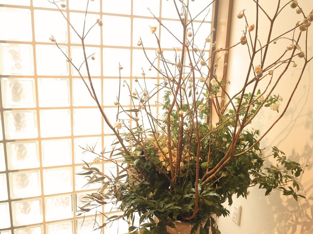 Matsuya House Osaka