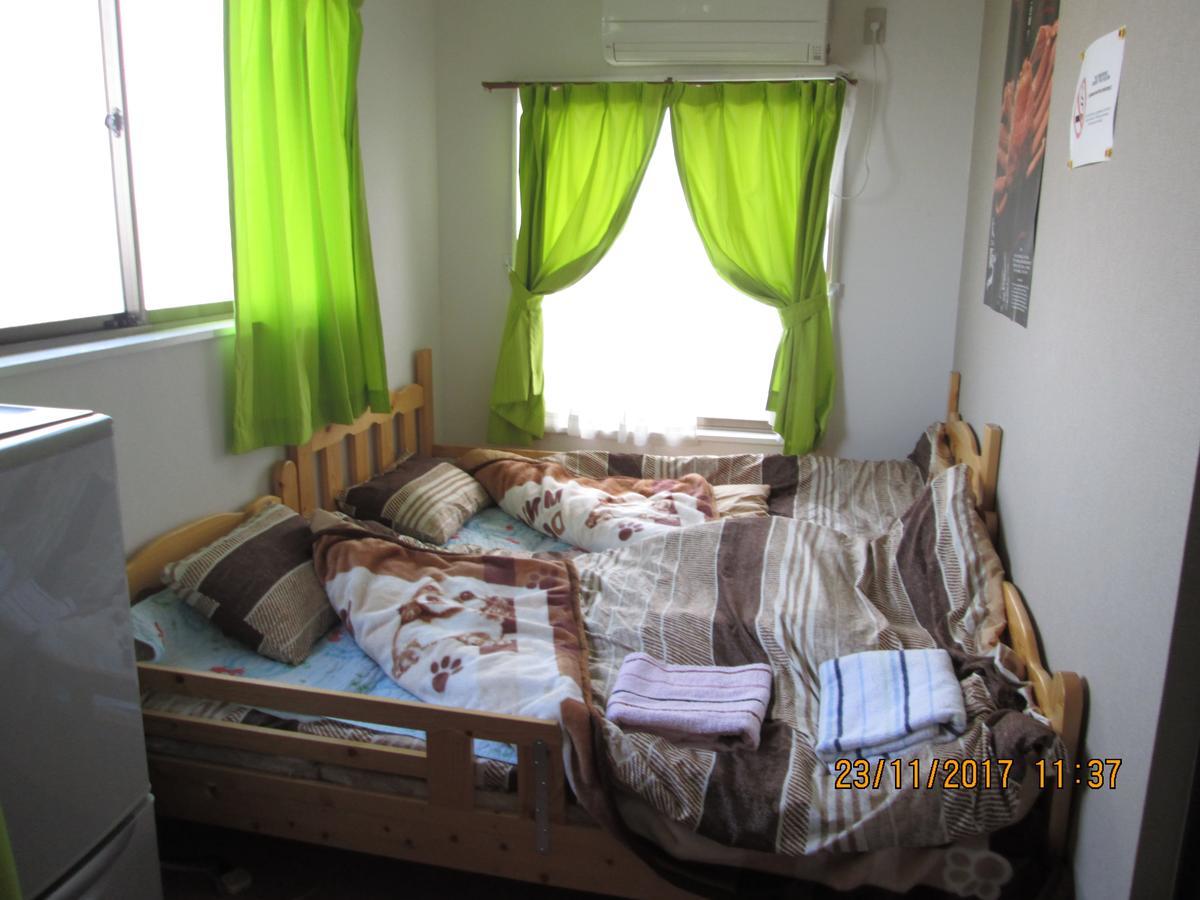 Dolphin House Hostel
