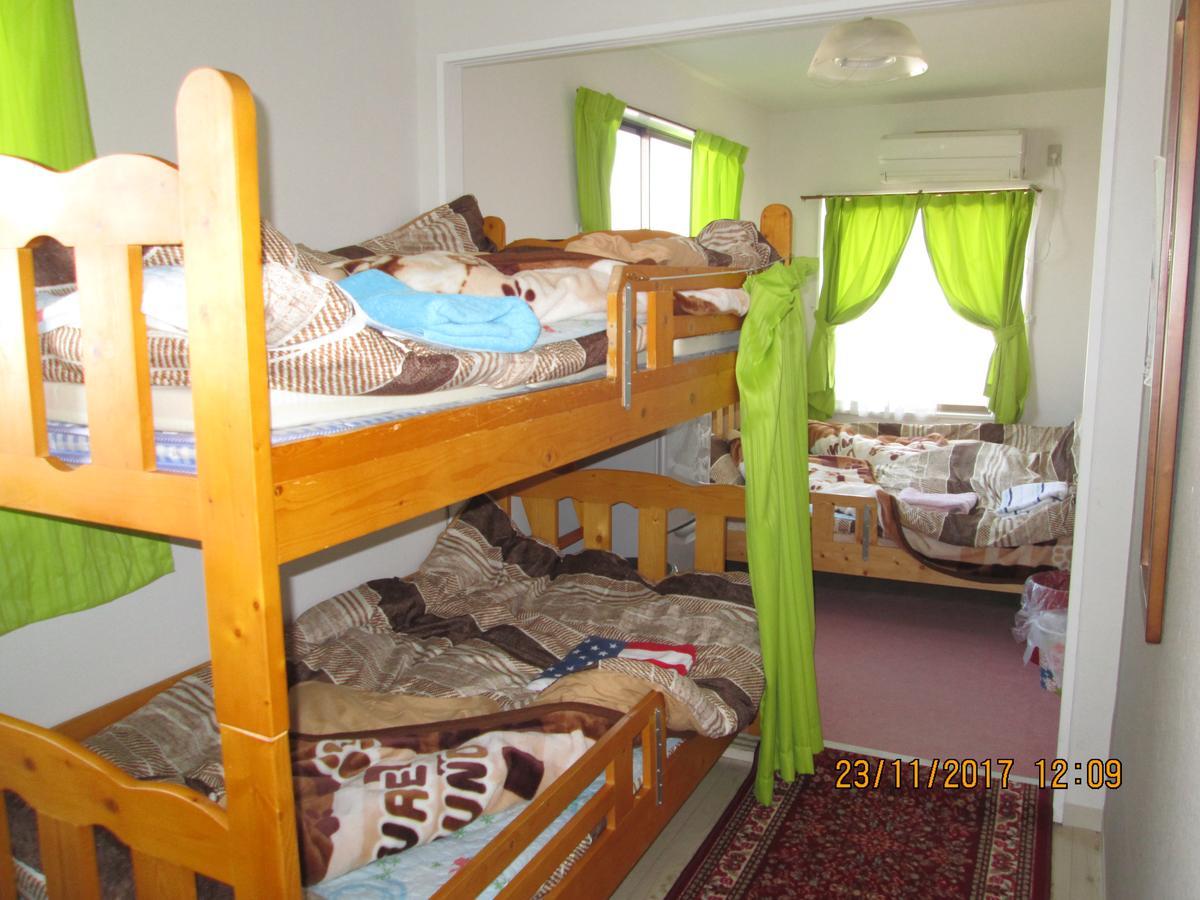 Dolphin House Hostel