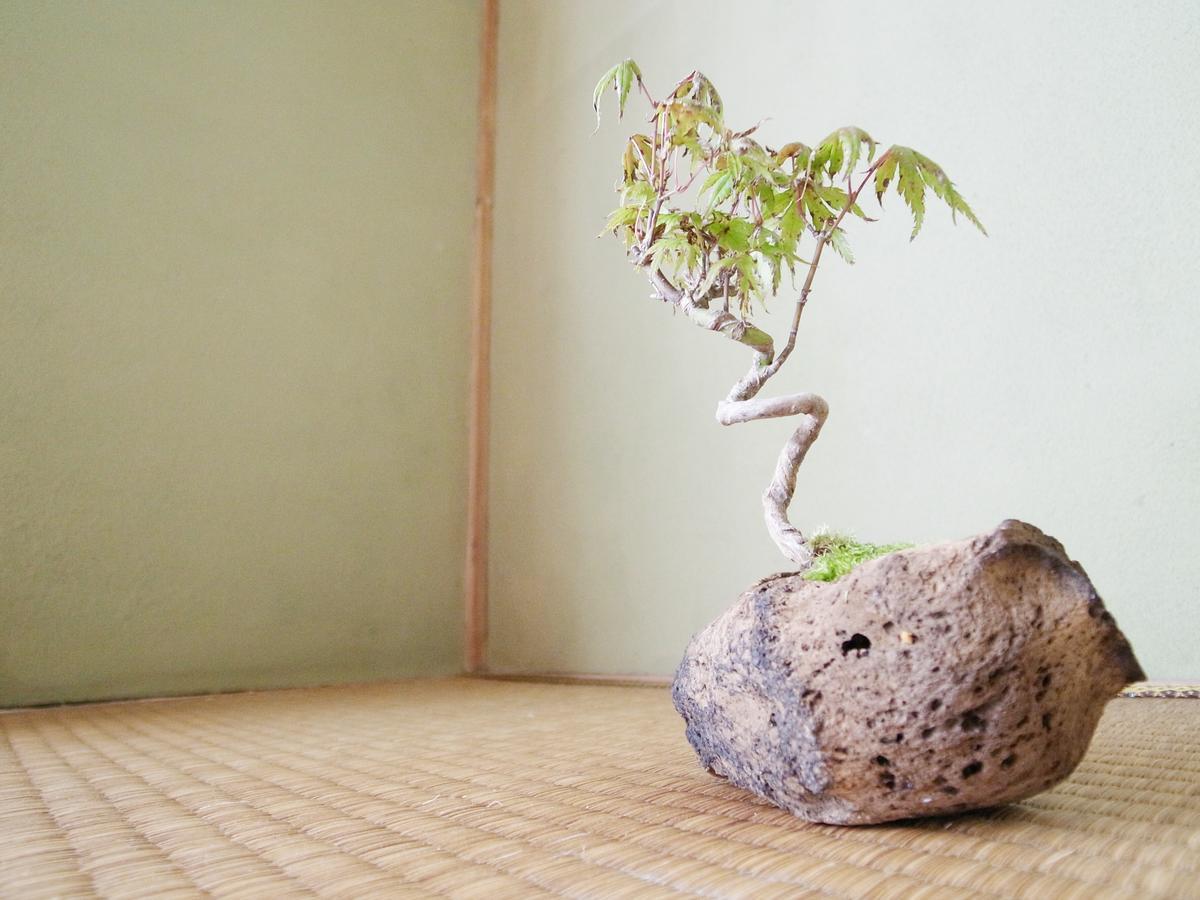 Holiday home Private Rosso Osaka