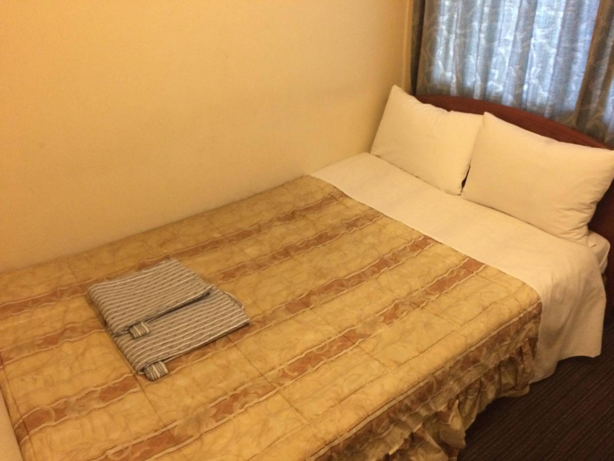Maruichi Hotel 2*