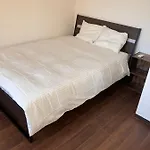 初见