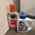 Wolf Pack Apartment 21