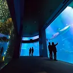 小橋・宿