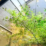 全新～和風獨立屋*兩浴兩衛*商店街*大型超市*車站4分鐘*機場鐵路35分鐘直達 提供接送機/導遊服務