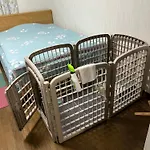 舟荘