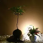 ＆Will民泊