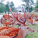 客驛宿