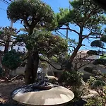 和風庭園豪邸