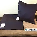 Hotel Livemax Budget Shinosaka