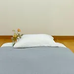 福嘉の九条