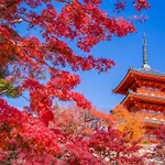 アネックス日本橋東402