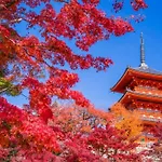 アネックス日本橋東602