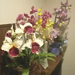 Guesthouse Grande今宮駅前