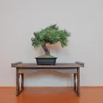 Yuyu House Kohama-Ume - Vacation Stay 18262