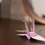 コンフィデンスロン305