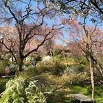 むつみ庵此花601
