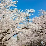 212Gblhouse,大阪中心部,道頓堀,難波,心斎橋,黒門市場エリア!Usjもすぐ!駅から徒歩1分の広いおしゃれな部屋!