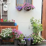 Namba Shinsaibashi 10 Mins Reiko Guest House
