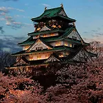 Ninja House