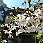 The Wonder At Stay-Machiya Karahori-