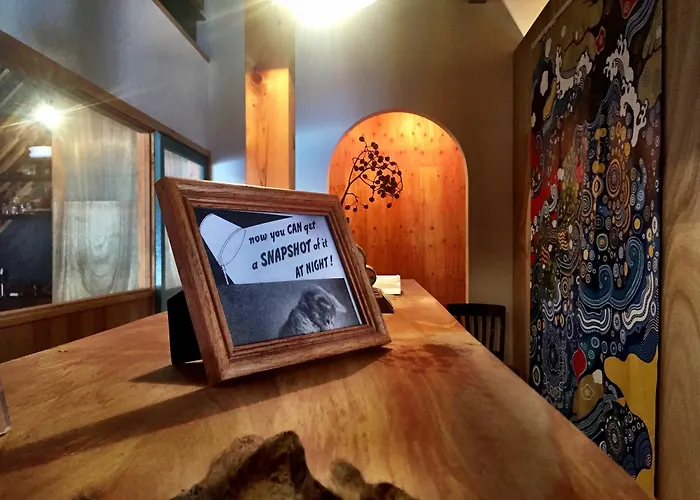 Lodging & Kin Osaka - Hostel
