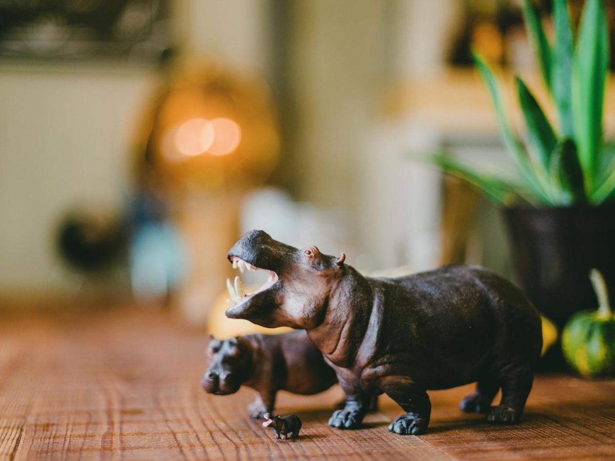 Hippo And Cafe Bar