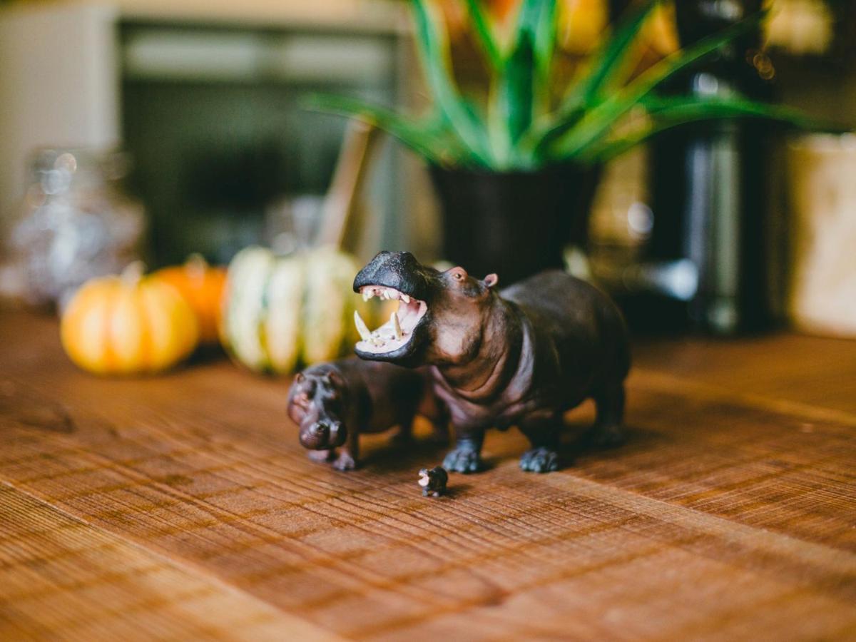 Hippo And Cafe Bar Osaka
