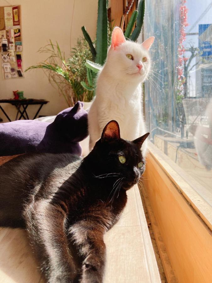 Mad Cat & Bar Osaka