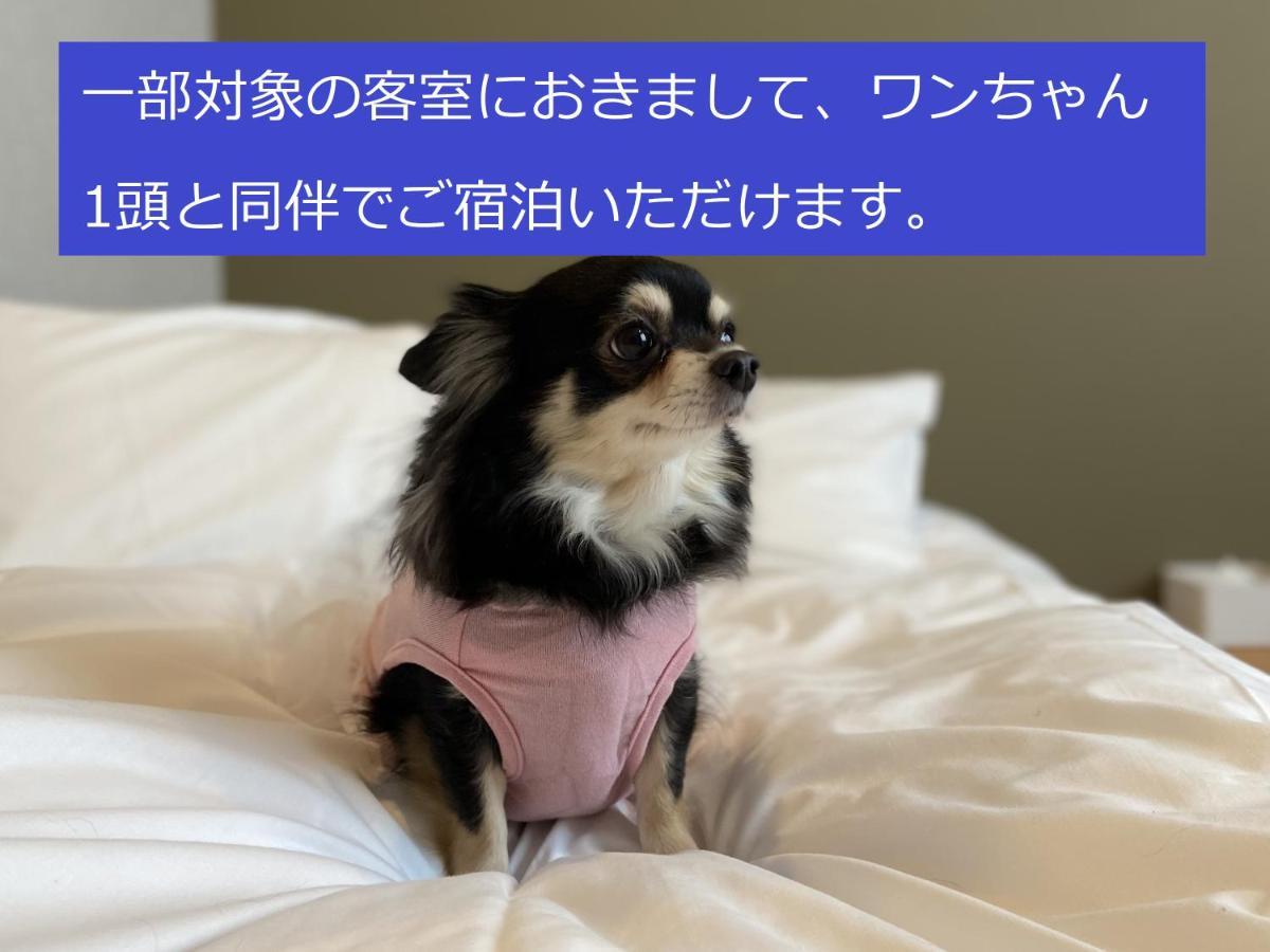 Hostel Imano Shinsaibashi Osaka